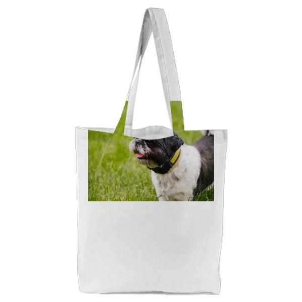 Black And White Short Hair Shih Tzu Dog On Green Grass Tote Bag