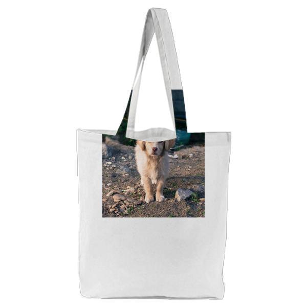 White Medium Coat Dog Standing On Brown Dirt Tote Bag