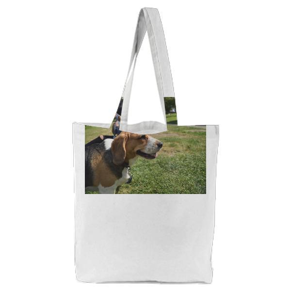 Animal Dog Pet Park Tote Bag