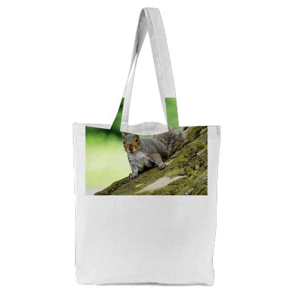 Grey Squirrel On Wooden Trunk During Daytime Tote Bag