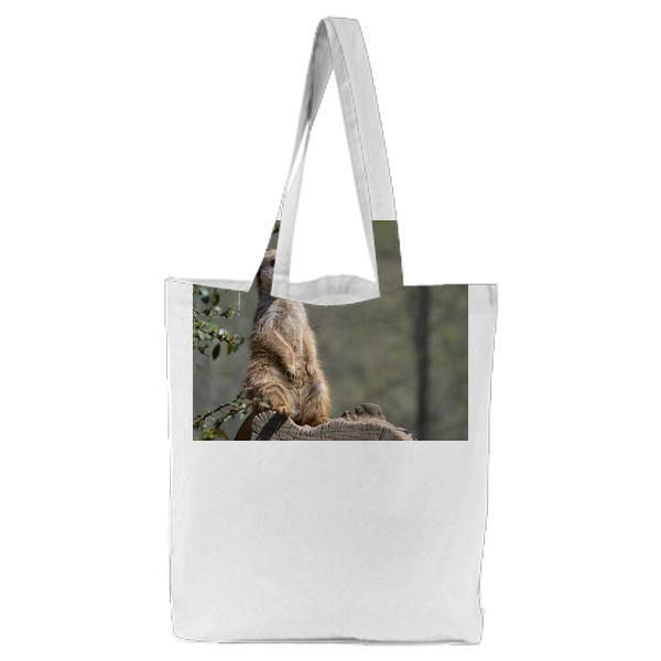 Brown And White Legged Animal Standing On Tree Branch Tote Bag