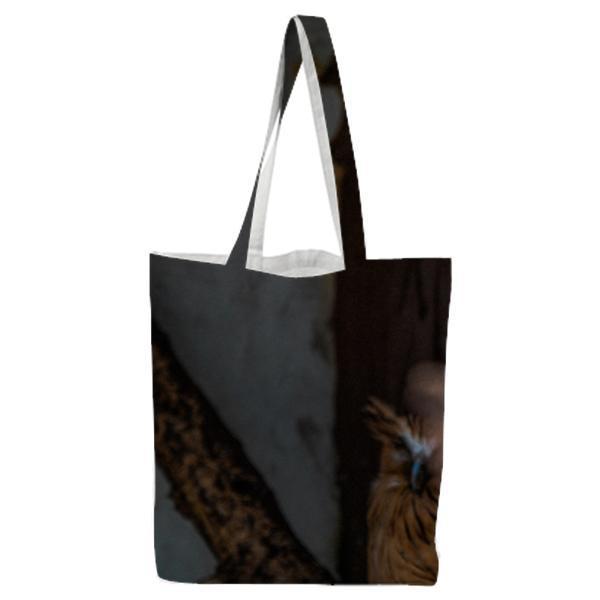 Bird Animal Owl Wildlife Tote Bag