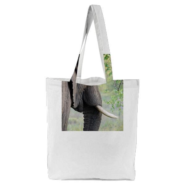 Animal Wildlife CloseUp Elephant Tote Bag