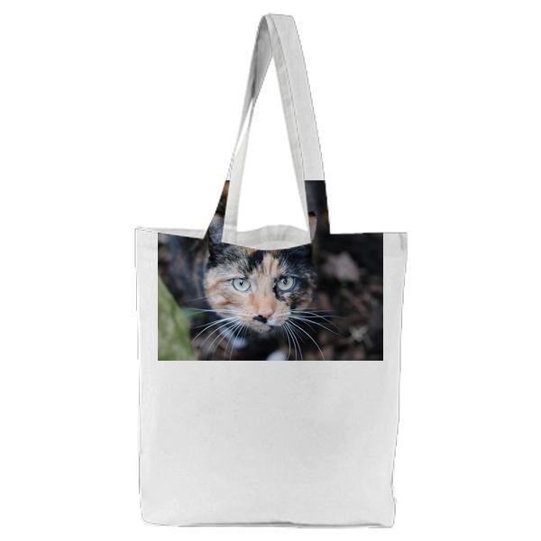 Cat In Selective Focus Photography During Daytime Tote Bag