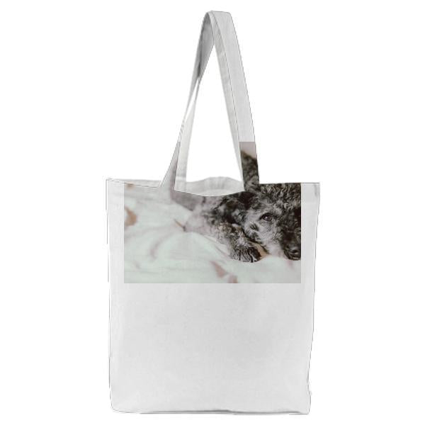 Animal Dog Pet CloseUp Tote Bag