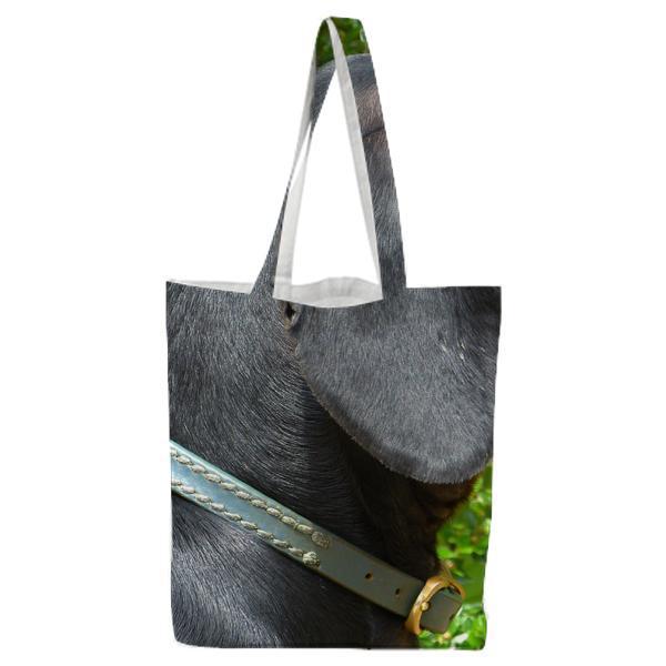 Animal Dog Pet Photography Tote Bag