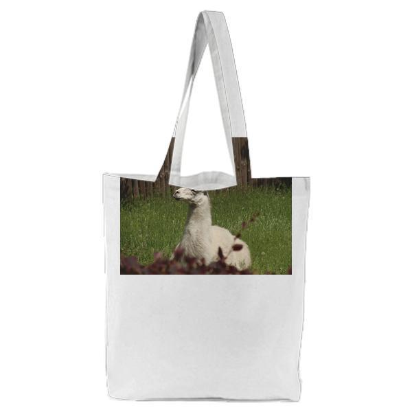 White Llama Lying On Green Grass Under Sunny Sky During Daytime Tote Bag
