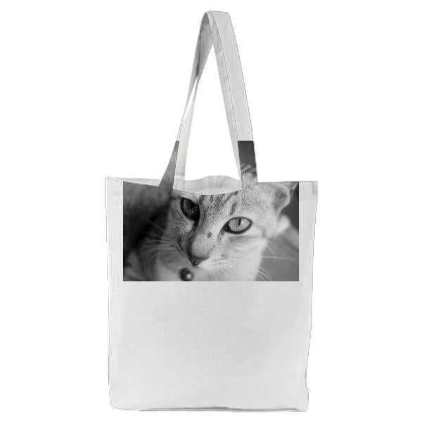 BlackAndWhite Animal Pet Cat Tote Bag