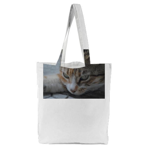 Animal Eyes Cat CloseUp Tote Bag
