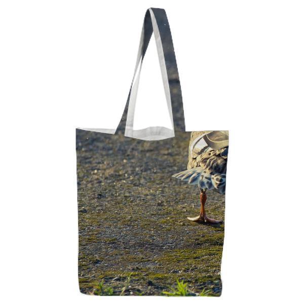 Bird Animal Duck Photography Tote Bag