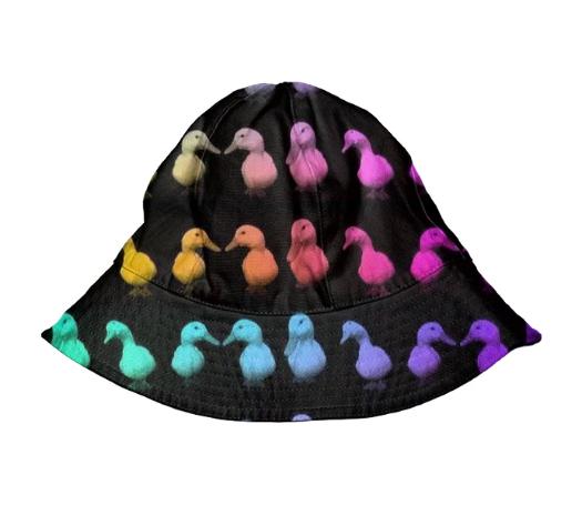 Rainbow Ducks Kids Hat