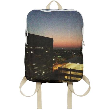 Views from the Omni Backpack