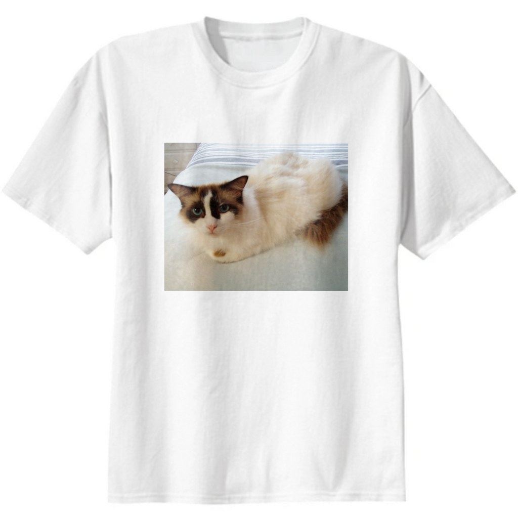 Lily T Shirt