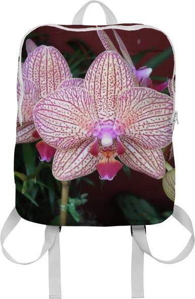 Baller Orchid