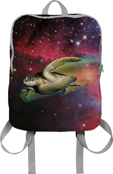 Turtle in Space
