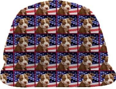 American Pitbull Terrier Dog