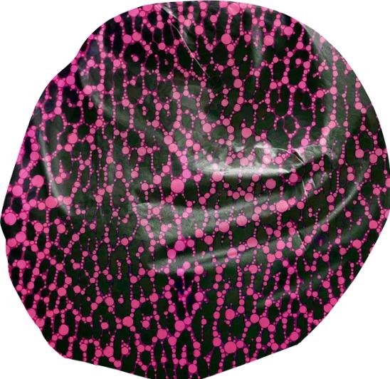Florescent Pink Leopard print BeanBag