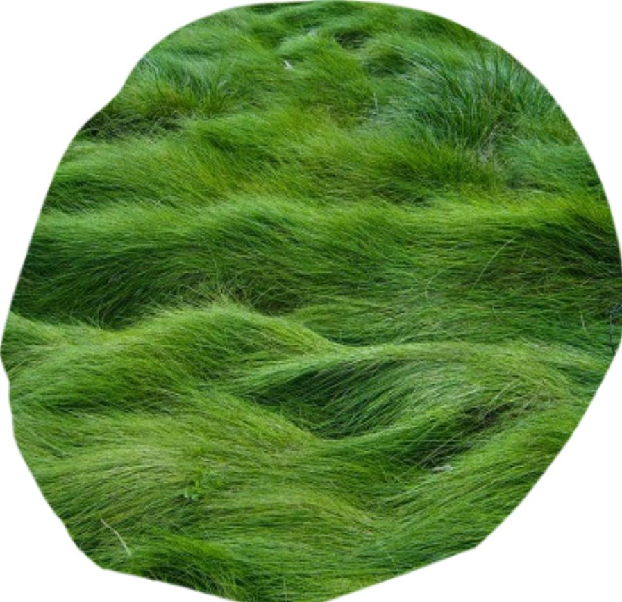 Green grass bean bag