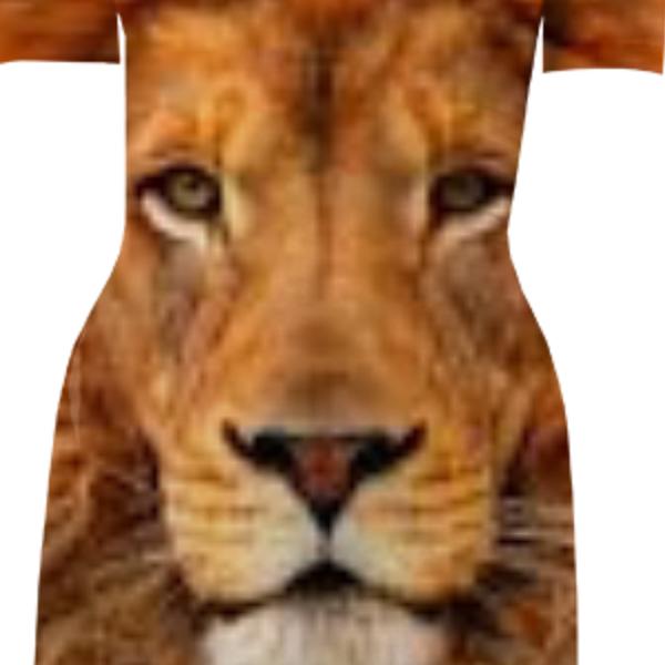 Lion Dress