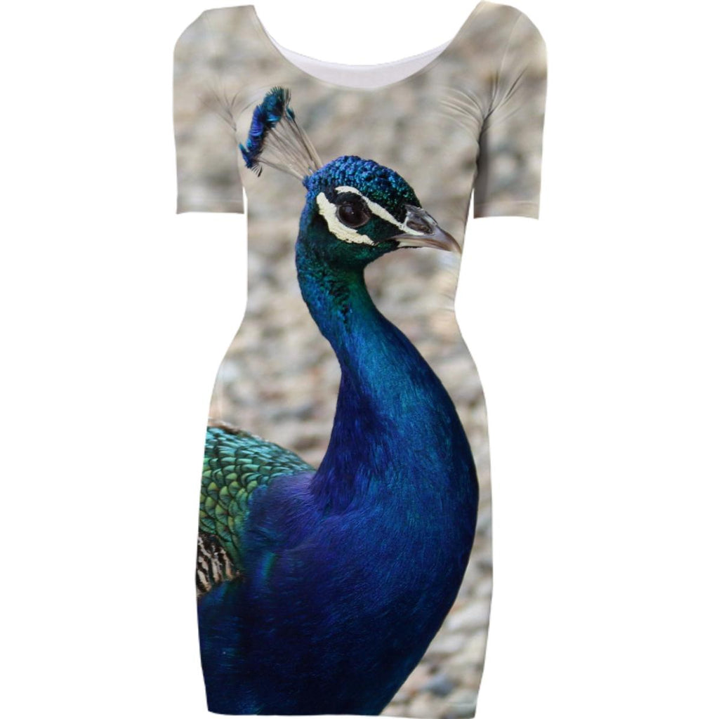 Peacock Bodycon Dress