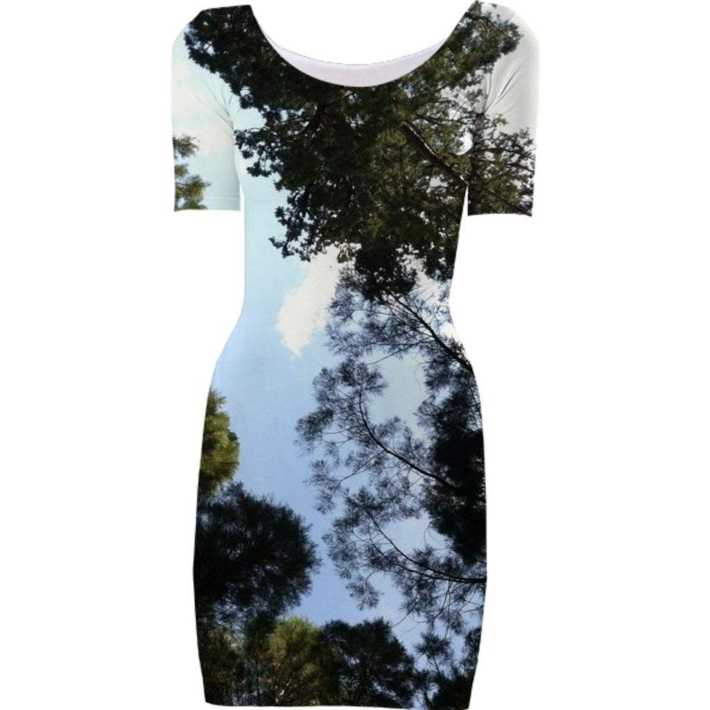 Sequoia Sky Dress Too
