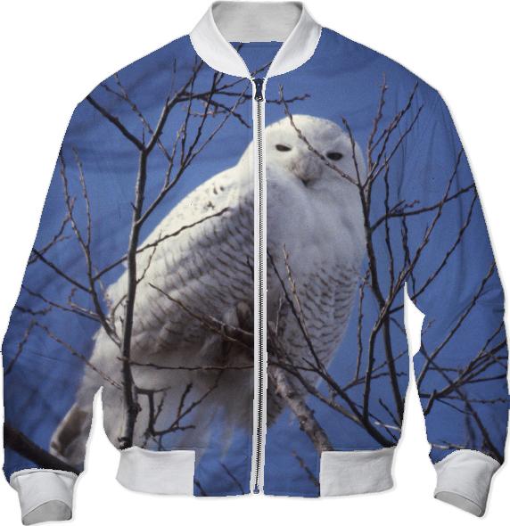 Snowy White Owl Arctic Bird against Blue Sky