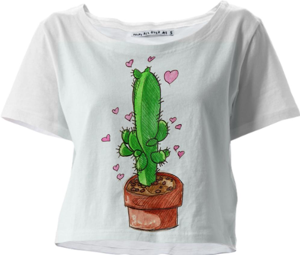 cacti love