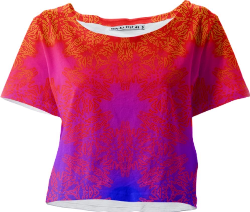 Ombre I Crop Tee by Dovetail Designs