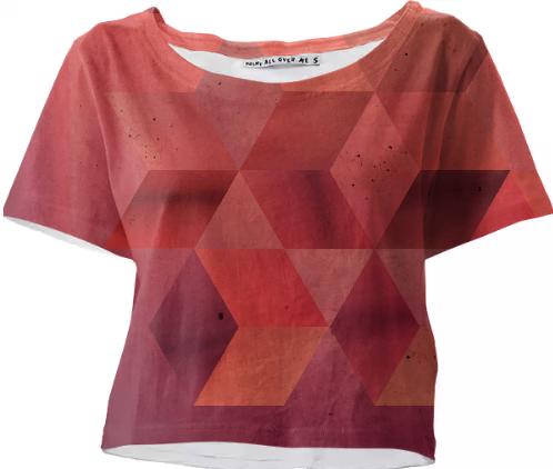 Shades of red crop top