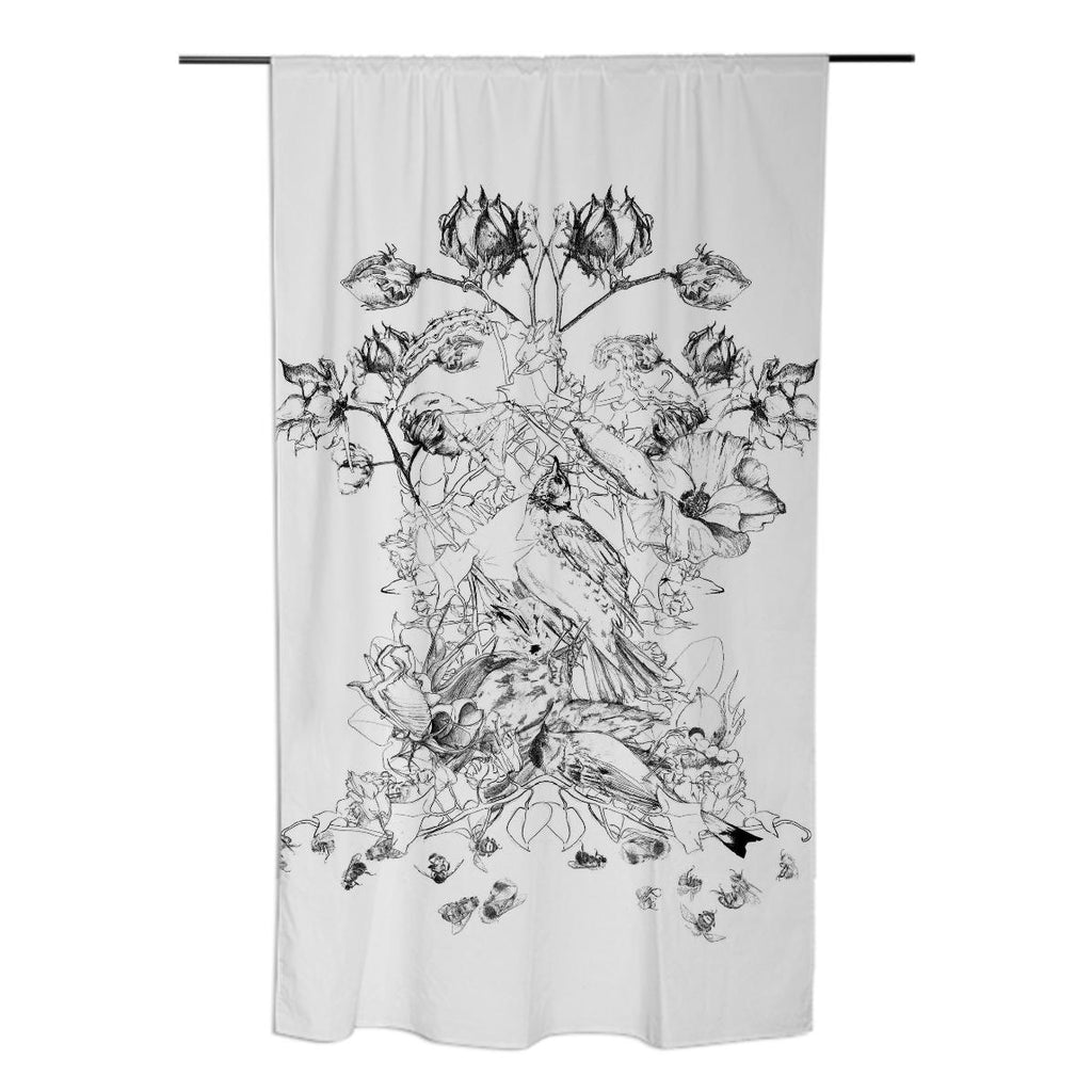 curtain