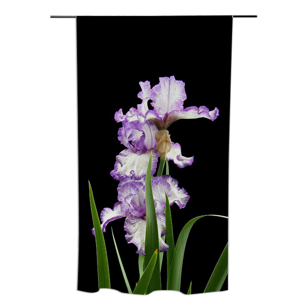 Iris Curtain