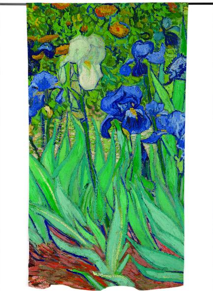 Van Gogh Irises F608 Fine Art