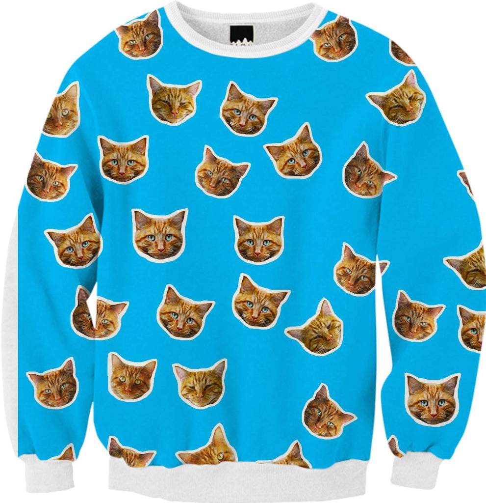 cat fancy