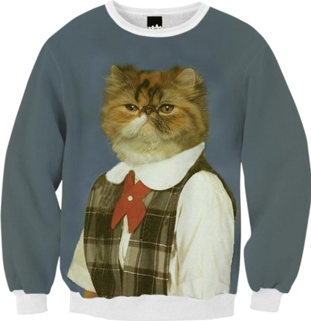 Cat with a bowtie sweater