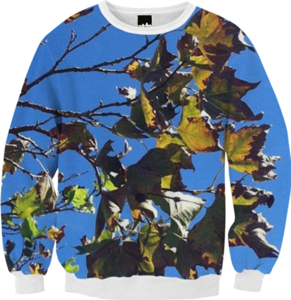 Changing Leaves Sweatshirt
