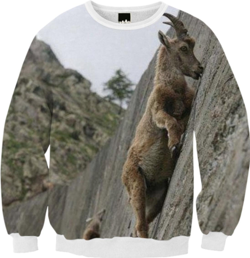 Crave that Mineral Sweatshirt