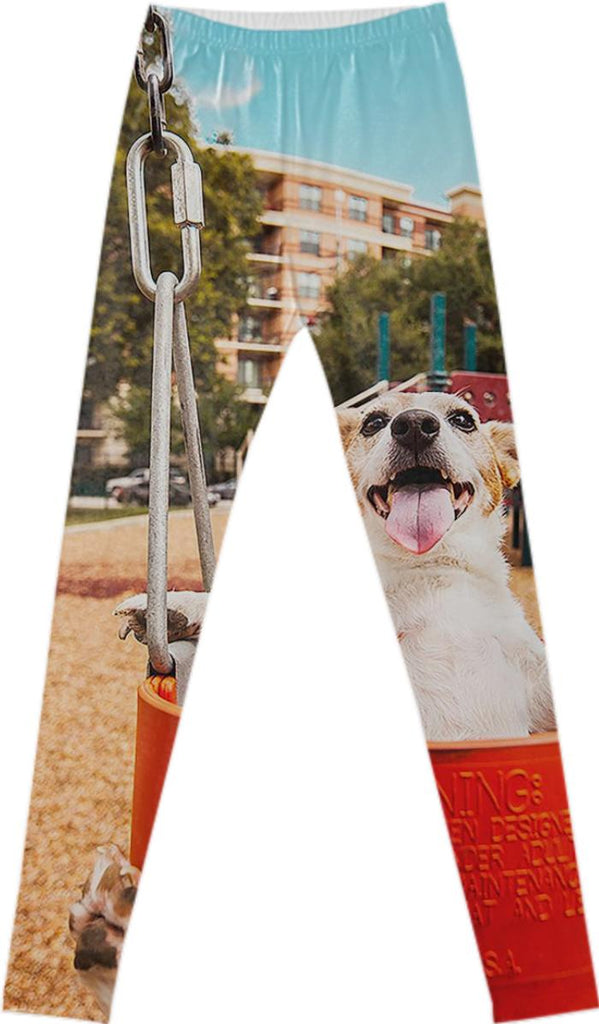 Jack Russell Terrier in swing leggings