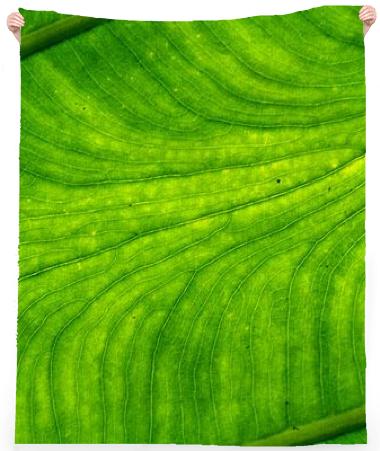 Leaf Path Towel