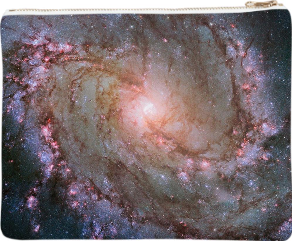 Southern Pinwheel Galaxy Clutch