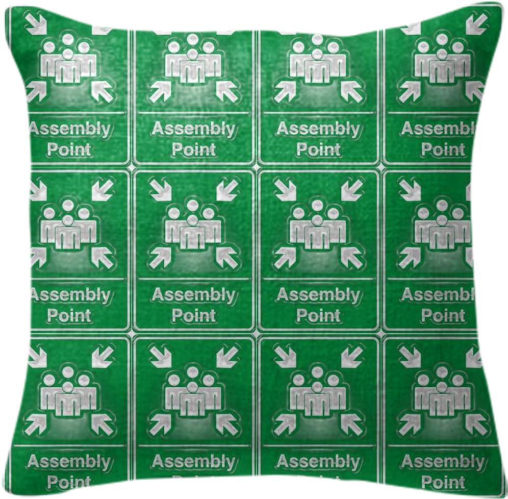 Assembly Point Pillow