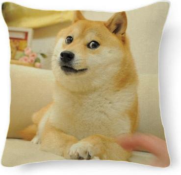 Doge pillow