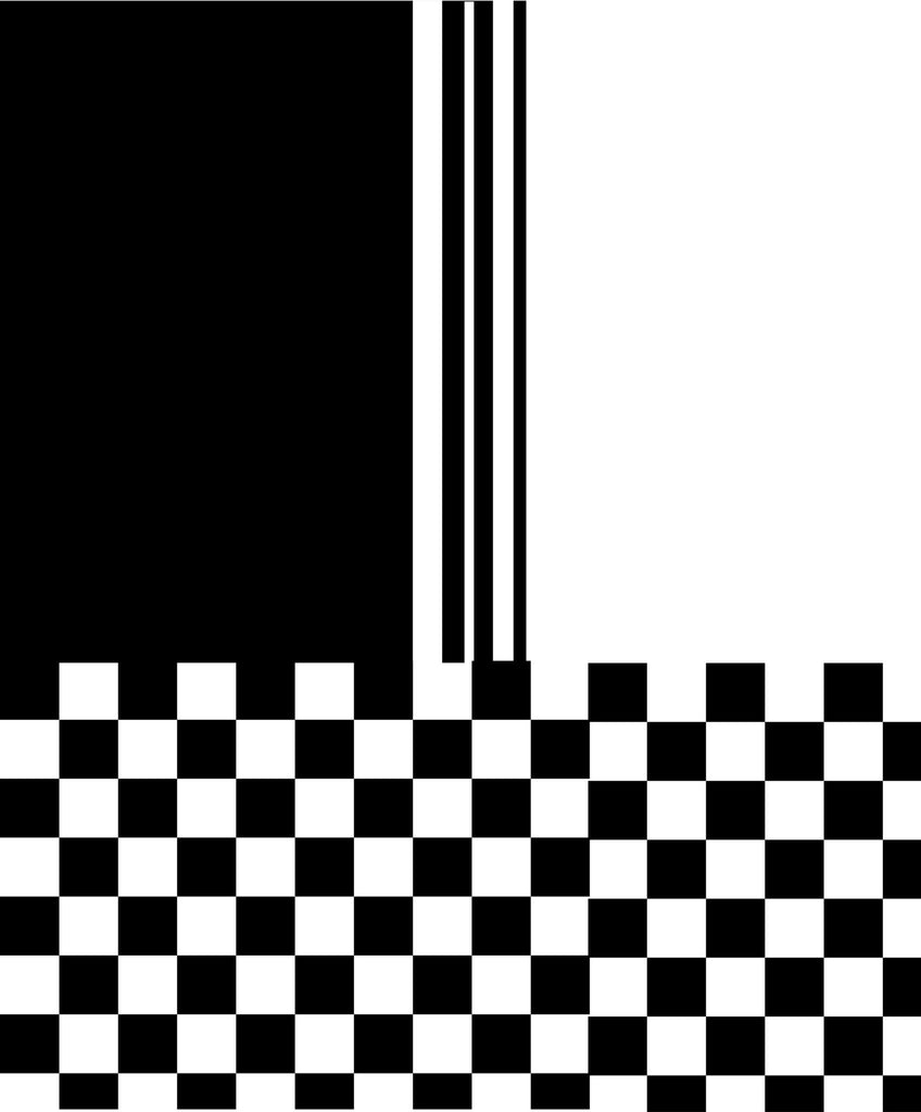 Mod black and white striped check v2