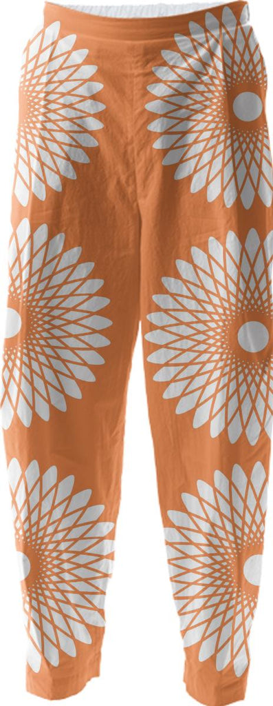 Spiro graph Relaxed Pants