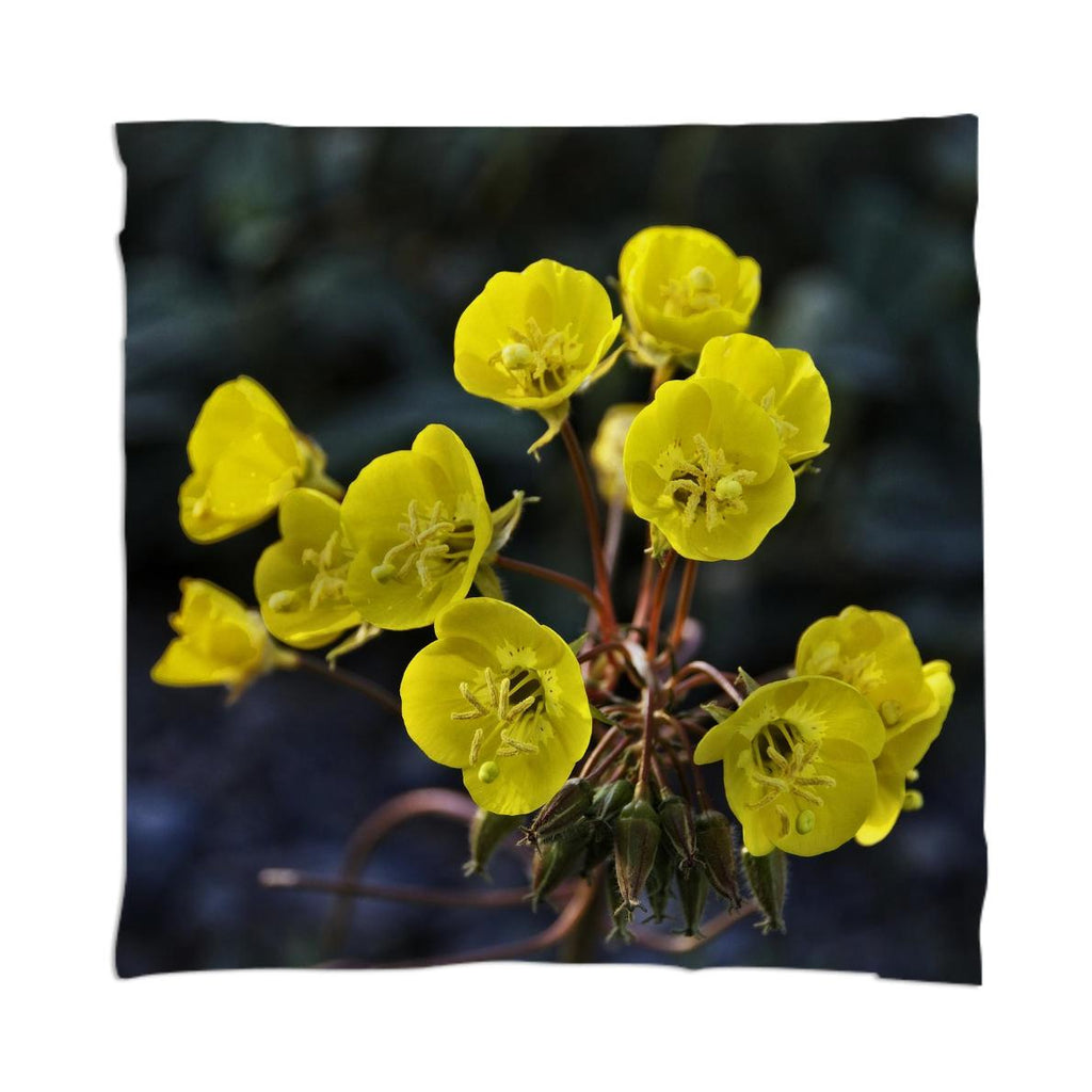 Wild Yellow Flowers from Death Valley scarf