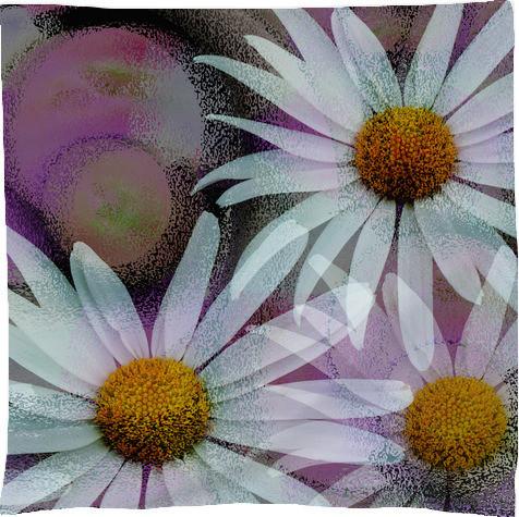 Abstract Grunge Daisies