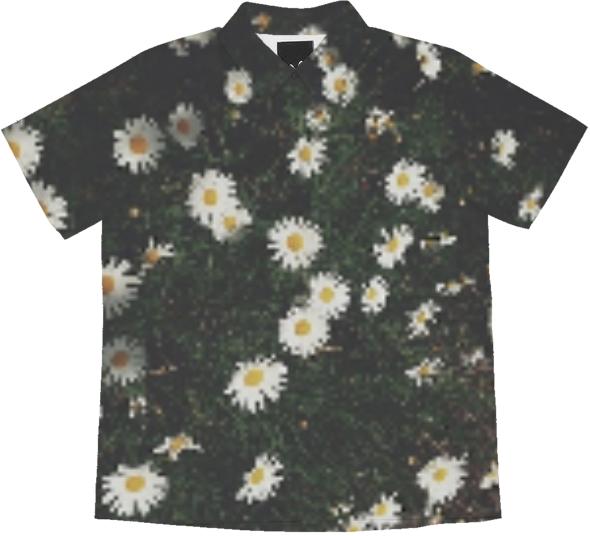 daisy garden dirt and summer blouse