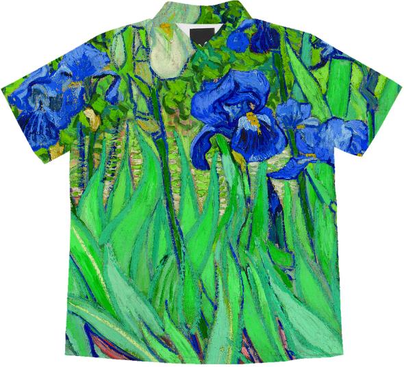 Van Gogh Irises F608 Fine Art