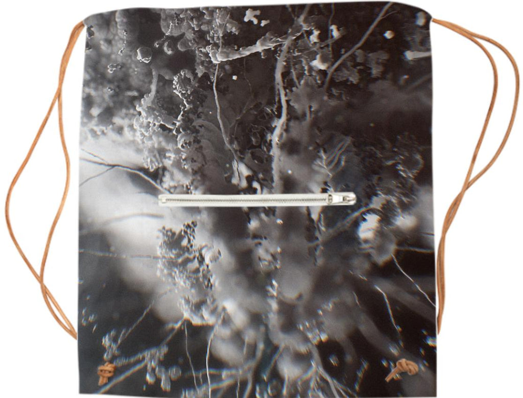 Human Immunodeficiency Virus