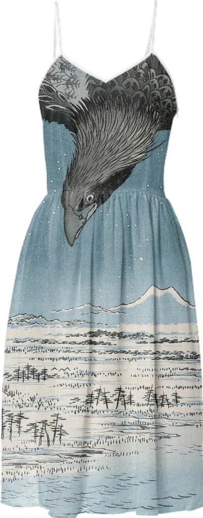 Raven in Winter Summer Dress