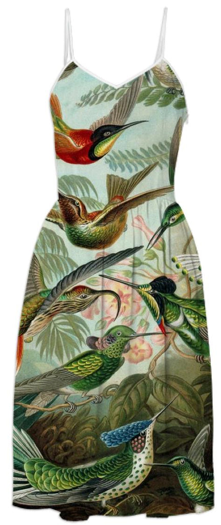 Incredible Birds Dress